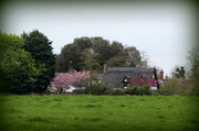 17th Apr 2014 - Grantchester cottage