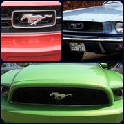 17th Apr 2014 - Happy Birthday, Mustang!