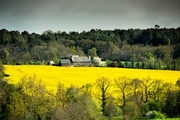 17th Apr 2014 - Springtime in rural Brittany...