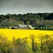 Springtime in rural Brittany... by vignouse