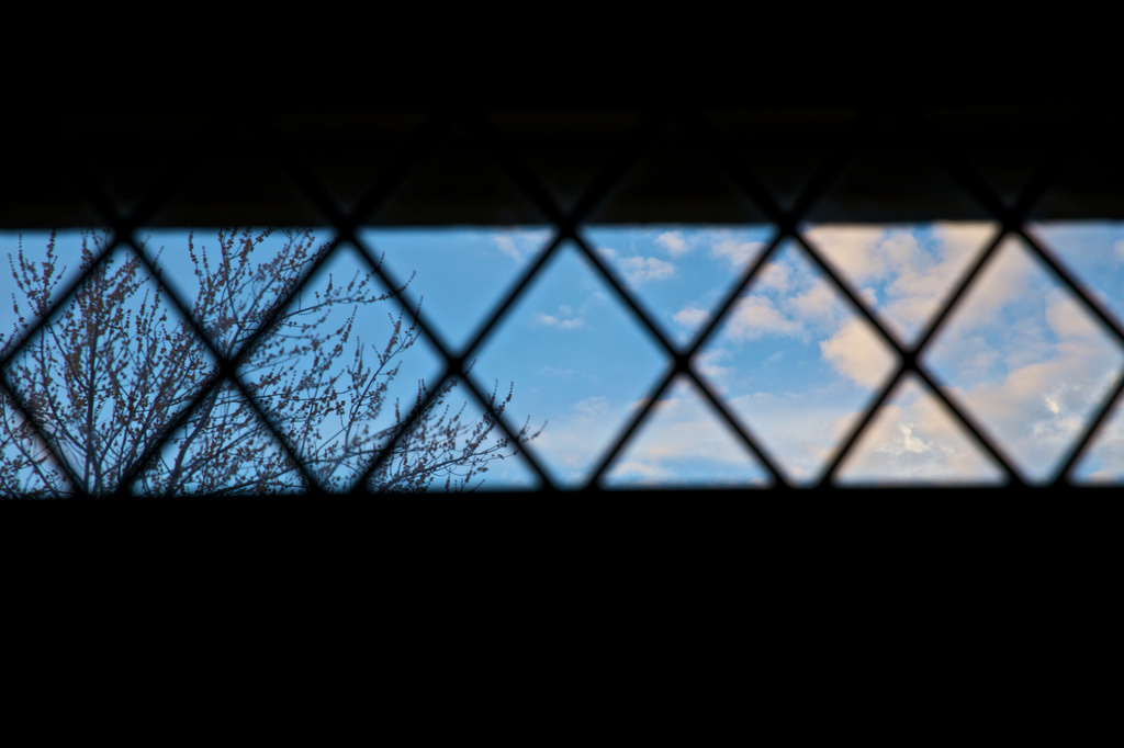 A Peek at Blue Sky by jyokota