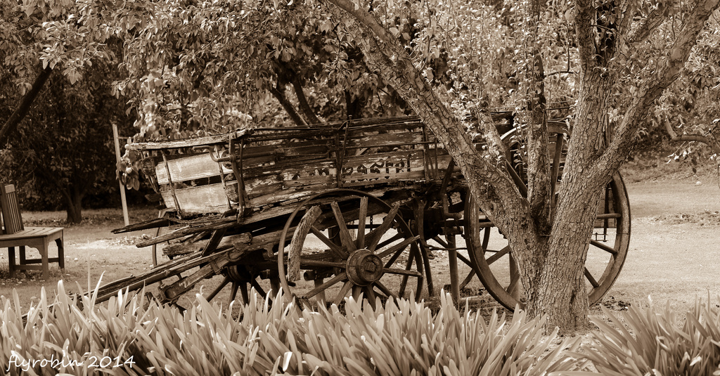 Old wagon out to pasture by flyrobin