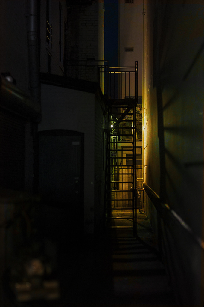 Light at the End of the Alley by gardencat