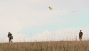 18th Apr 2014 - Let's go fly a kite