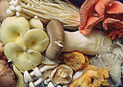 18th Apr 2014 - Mushroom Medley
