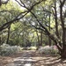 Charles Towne Landing State Historic Site, Charleston, SC by congaree