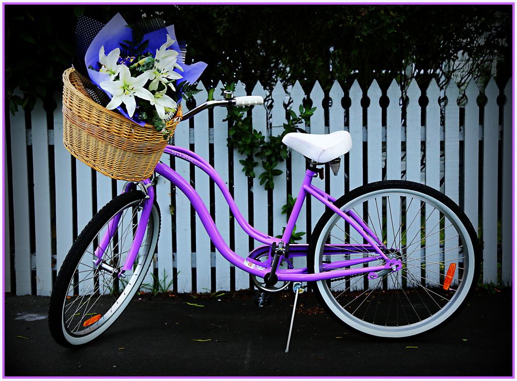 The bike  by dide