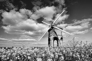 19th Apr 2014 - Chesterton Windmill ~ 1