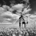 Chesterton Windmill ~ 1 by seanoneill