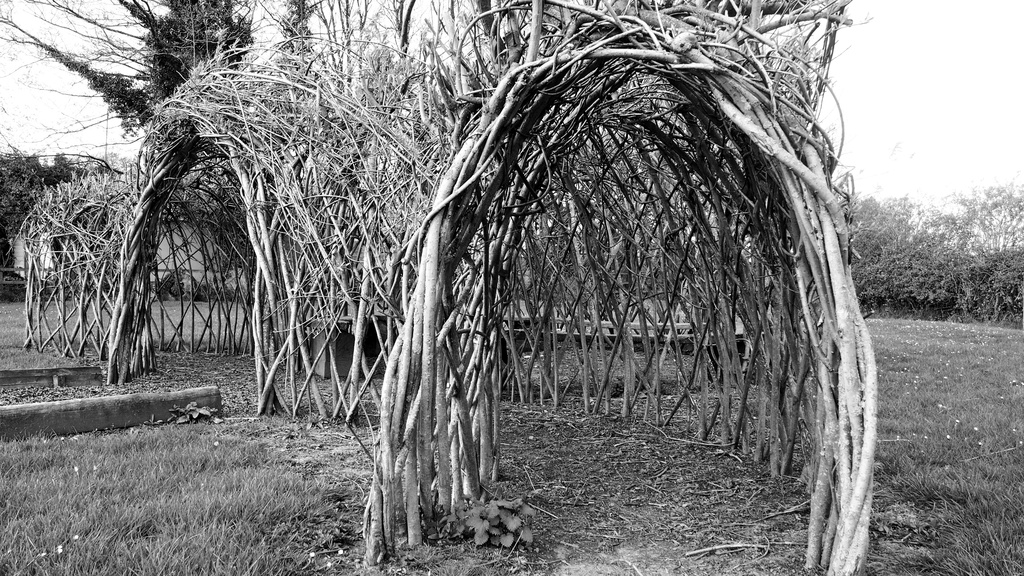Willow tunnel  by happypat
