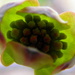 April 19 Dogwood Abstract by daisymiller