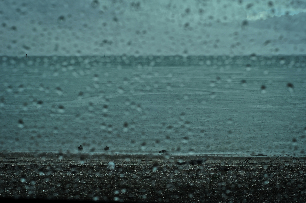 Rain  by brigette