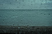 20th Apr 2014 - Rain 