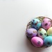Eggs by tina_mac