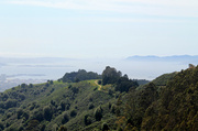 18th Apr 2014 - A Hike at Tilden