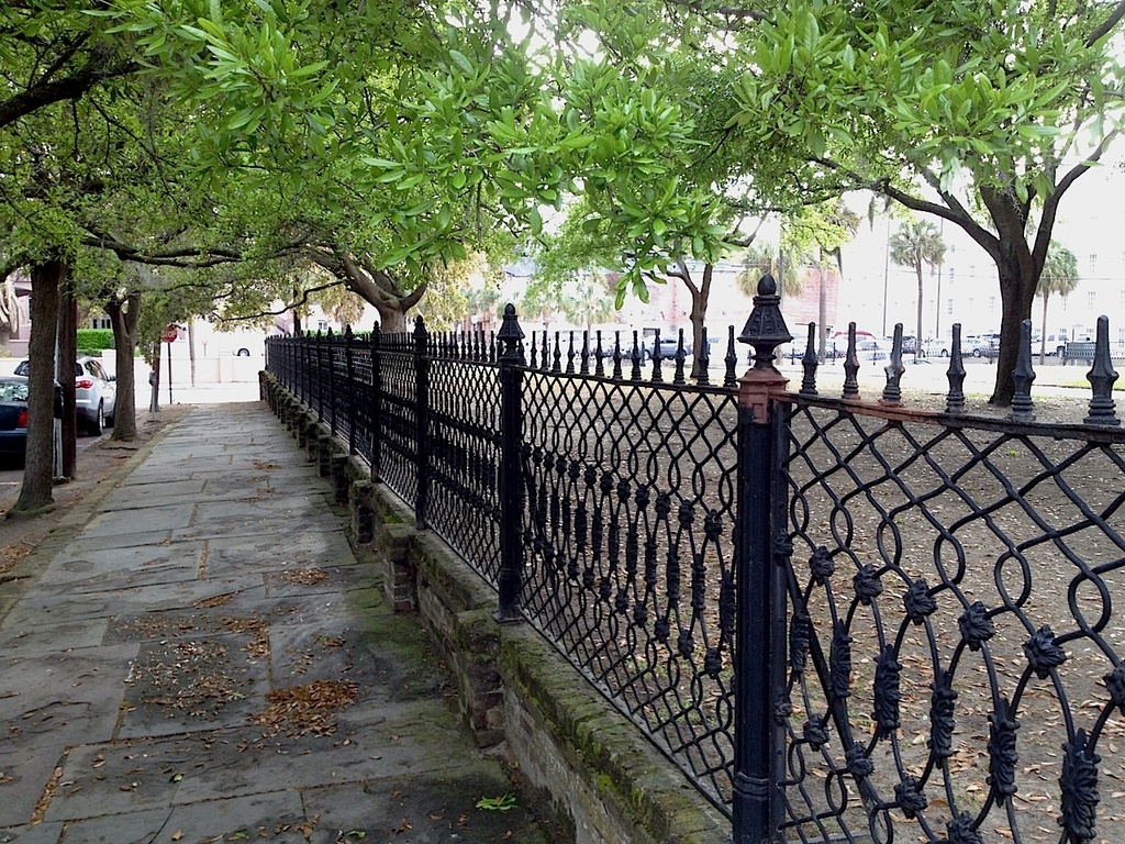 Iron fence, Wraggborough Square, Charleston, SC by congaree