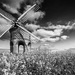 Chesterton Windmill ~ 4 by seanoneill