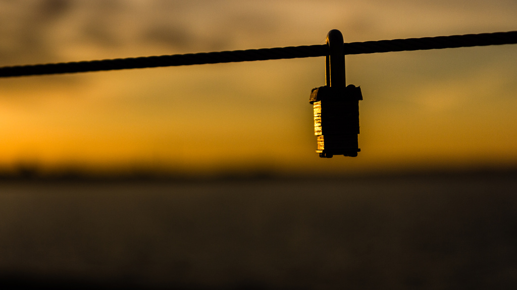 lovelock on Humber bridge by northy