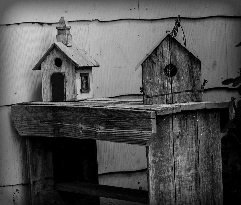 birdhouses by judyc57