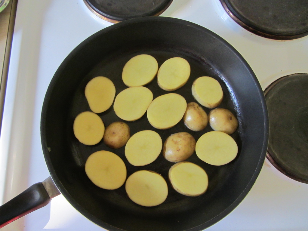 Slices of potato IMG_5323 by annelis