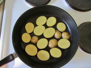 30th Jan 2014 - Slices of potato IMG_5323