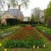 Governor's Palace Tulips by khawbecker