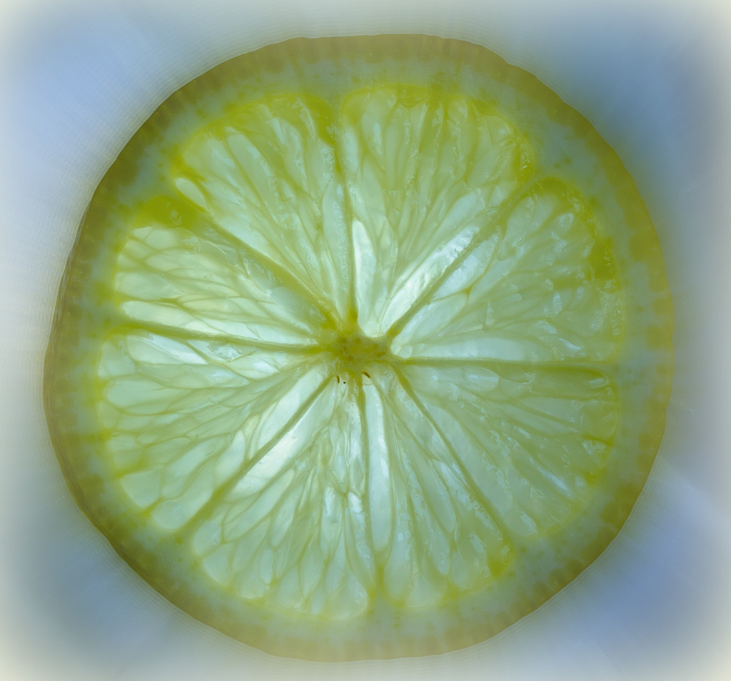 Sliced Lemon by salza