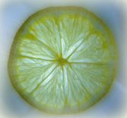 21st Apr 2014 - Sliced Lemon