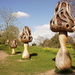 Willow mushrooms by boxplayer