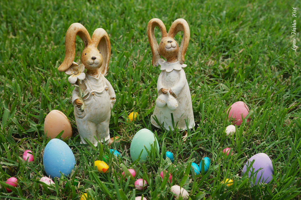 Easter Egg Hunt by lynne5477
