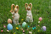 22nd Apr 2014 - Easter Egg Hunt