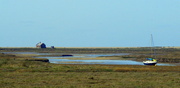 18th Apr 2014 - Blakeney Marshes