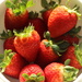 2014 04 21 Strawberries by kwiksilver