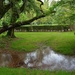 After a heavy rain by congaree