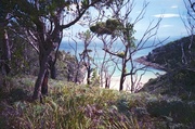 21st Apr 2014 - Whiting Beach