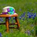Easter bonnet by judyc57