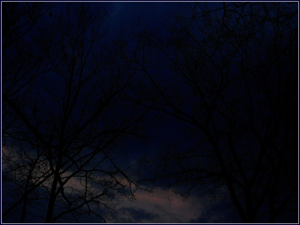 Dark Night of the Soul by olivetreeann