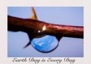 22nd Apr 2014 - Earth Day