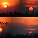 Smokey Kansas Sunset Collage by kareenking