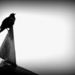 Bird Silhouette by salza