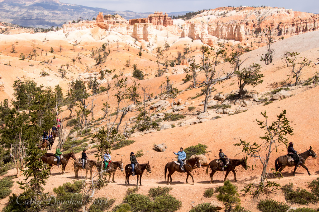 Bryce Canyon Riders by cdonohoue
