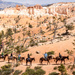 Bryce Canyon Riders by cdonohoue