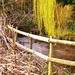 A fence, a stream and a Willow by ziggy77