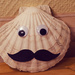 Mustache on shells by elisasaeter