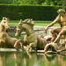 Versailles - The Fountain of Apollo by fishers