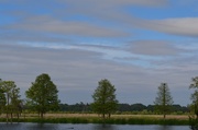 23rd Apr 2014 - Wetlands looking toward the Ashley River, Magnolia Gardens, Charleston, SC