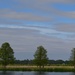 Wetlands looking toward the Ashley River, Magnolia Gardens, Charleston, SC by congaree