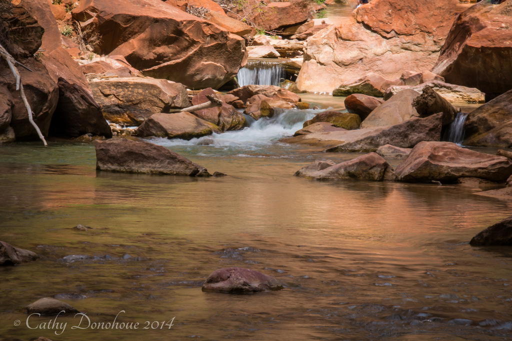 The Waters of Zion by cdonohoue