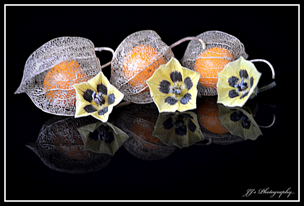 Cape gooseberries by julzmaioro