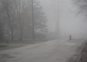 23rd Apr 2014 - Foggy morning